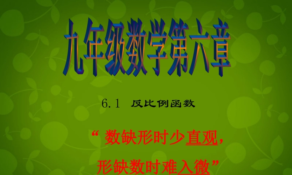 中学九年级数学上册 6.1 反比例函数课件 (新版)北师大版 课件