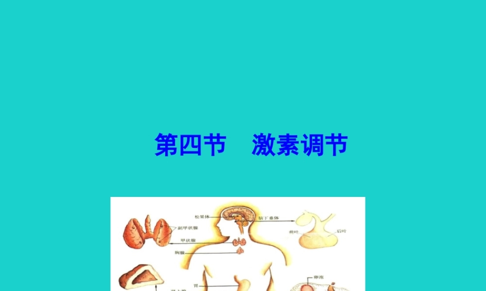 七年级生物下册 4.6.4 激素调节课件(新版)新人教版 课件