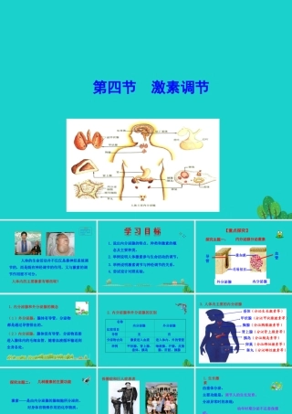 七年级生物下册 4.6.4 激素调节课件(新版)新人教版 课件