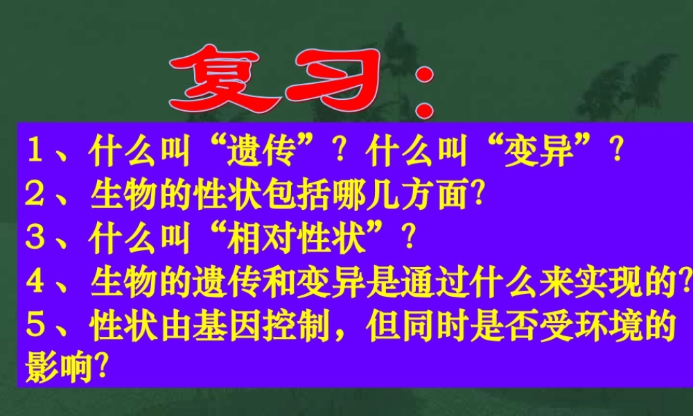 基因在亲子代间的传递八年级生物课件示例二 课件
