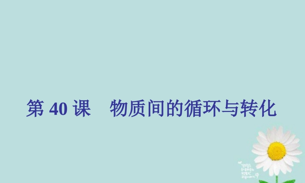 九年级科学 第40课(物质间的循环与转化)课件 浙教版 课件
