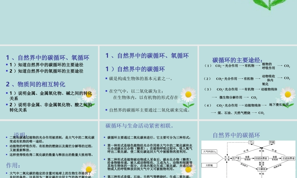 九年级科学 第40课(物质间的循环与转化)课件 浙教版 课件