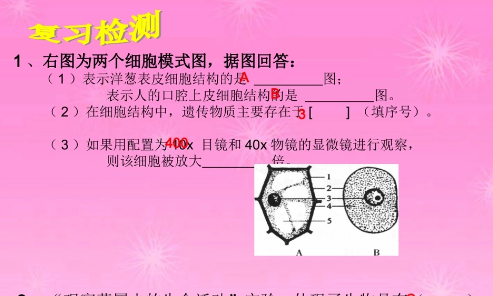 七年级生物上册 细胞的分裂与分化课件 济南版 课件