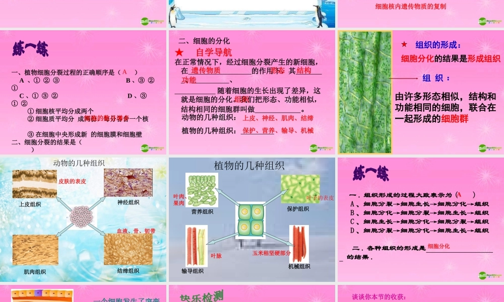 七年级生物上册 细胞的分裂与分化课件 济南版 课件