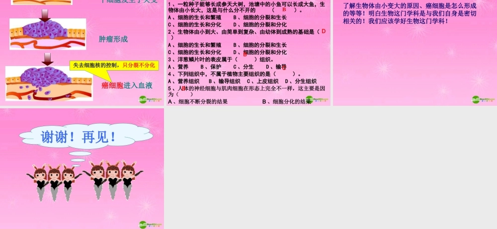 七年级生物上册 细胞的分裂与分化课件 济南版 课件