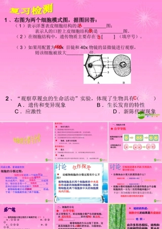 七年级生物上册 细胞的分裂与分化课件 济南版 课件