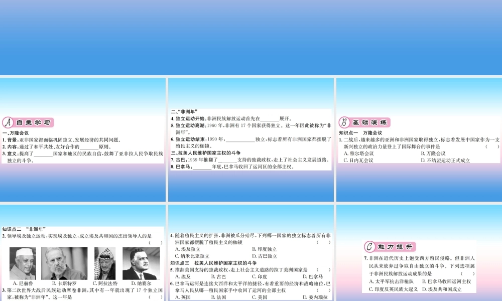 九年级历史下册 第5单元 冷战和美苏对峙的世界 第19课 亚非拉国家的新发展作业课件 新人教版 课件