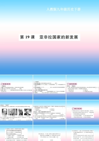 九年级历史下册 第5单元 冷战和美苏对峙的世界 第19课 亚非拉国家的新发展作业课件 新人教版 课件