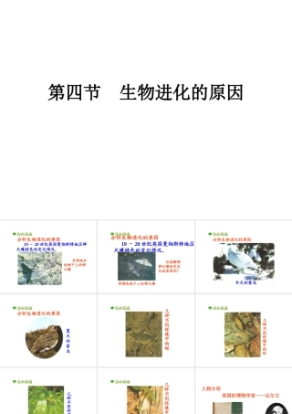 八年级生物 生物进化的原因 课件