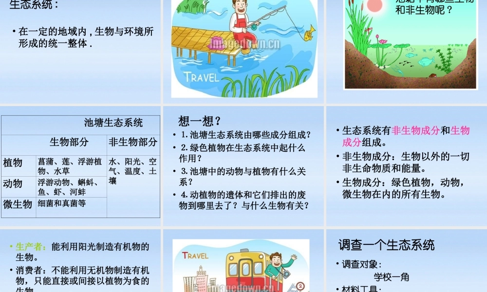 七年级生物上册 多种多样的生态系统课件 苏科版 课件