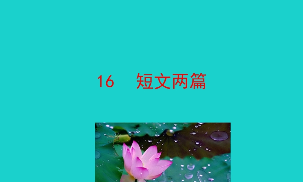 七年级语文下册 第四单元 16 短文两篇课件 七年级语文下册 第四单元 16 短文两篇课件+素材 新人教版