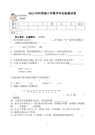 2012年小学数学毕业检测试卷