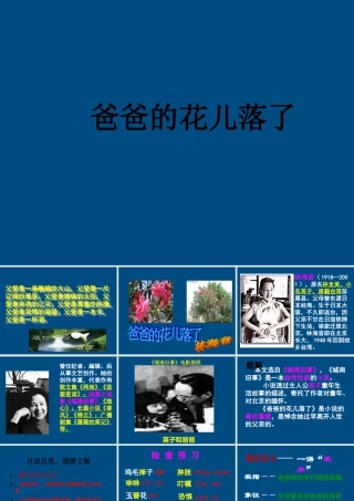 七年级语文上册(爸爸的花儿落了)课件(2) 冀教版 课件