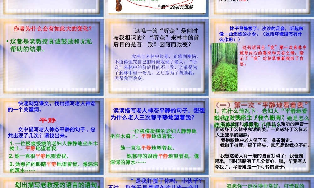 《唯一的听众》课件