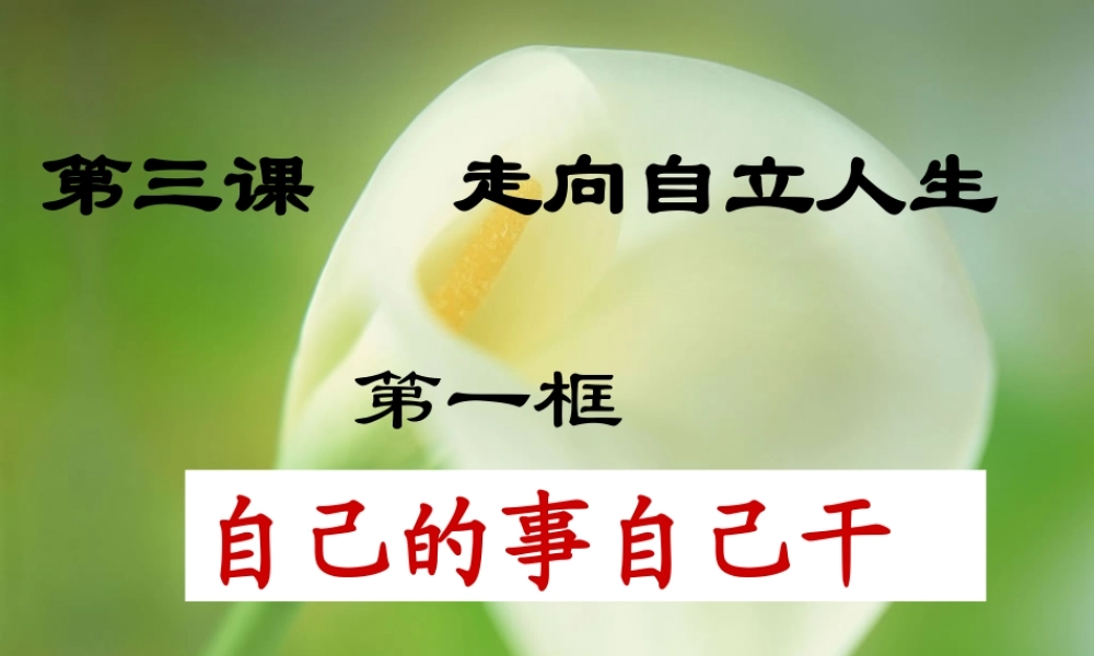 《自己的事自己干》课件