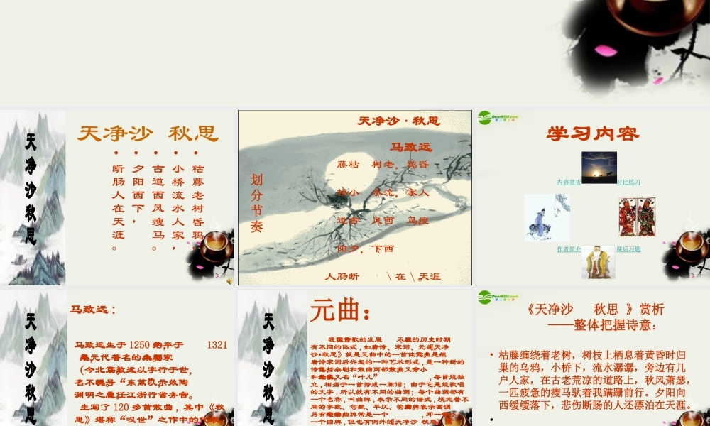 八年级语文下册(天净沙·秋思)课件 鄂教版 课件