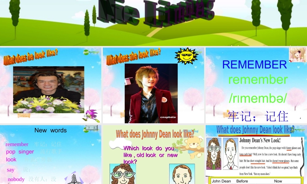 七年级英语下册 about sectionb unit 7课件 人教新目标版 课件