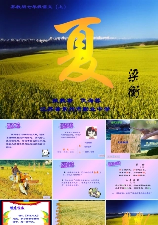 七年级语文夏课件2 苏教版 课件