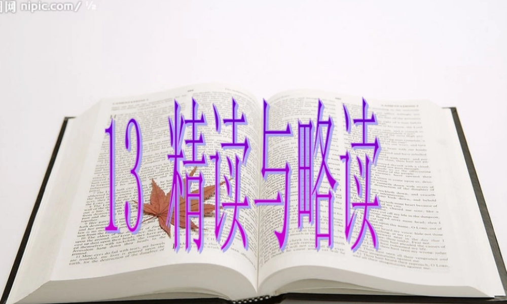 精读与略读课件
