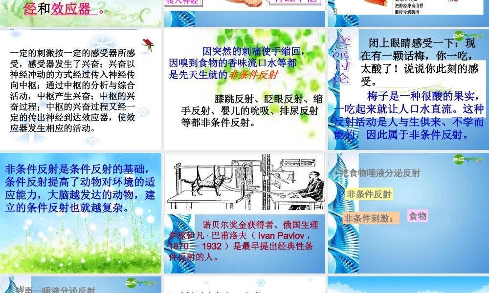 八年级生物 第一学期(试验本)第2章 第二节 神经系统 神经调节的基本方式课件 上海版 课件