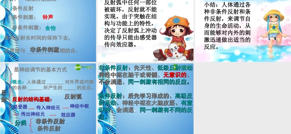 八年级生物 第一学期(试验本)第2章 第二节 神经系统 神经调节的基本方式课件 上海版 课件