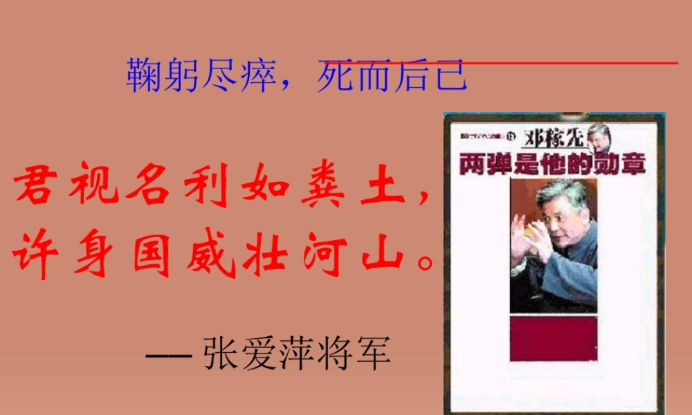 中学七年级语文下册 第11课(邓稼先)课件 新人教版 课件