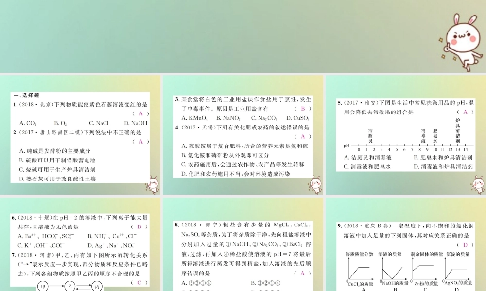 中考化学复习 滚动小专题(三)酸碱盐综合训练课件
