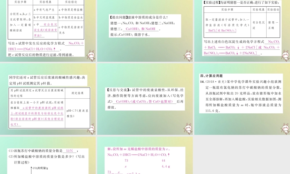 中考化学复习 滚动小专题(三)酸碱盐综合训练课件