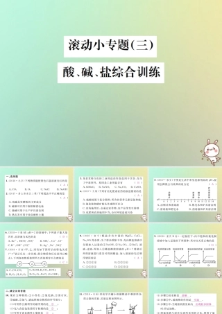 中考化学复习 滚动小专题(三)酸碱盐综合训练课件