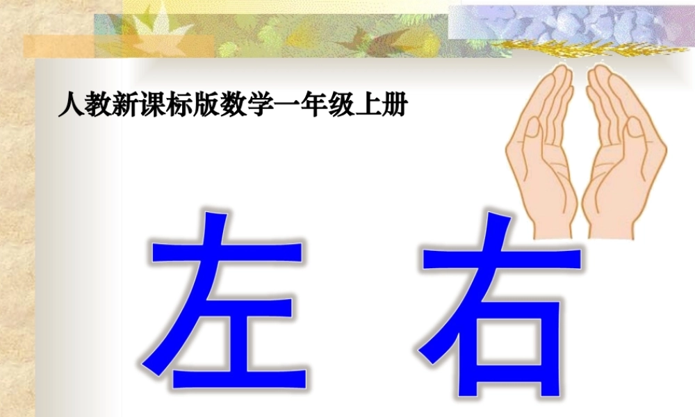 《左右》教学课件2