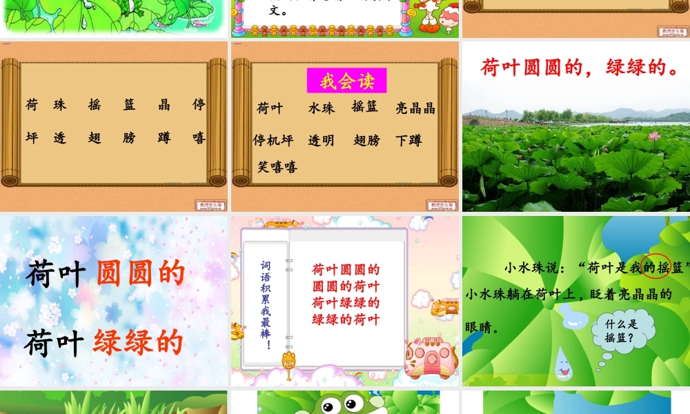 荷叶圆圆gongkaike