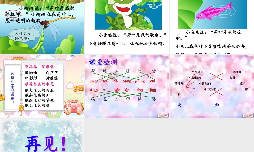 荷叶圆圆gongkaike