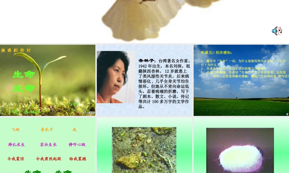 七年级语文生命 生命课件2 新课标 人教版 课件