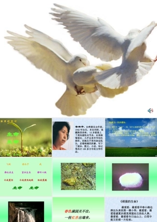 七年级语文生命 生命课件2 新课标 人教版 课件