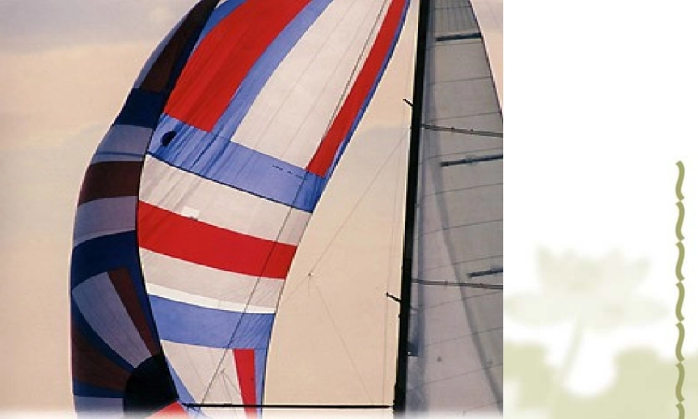 人类重要的营养物质