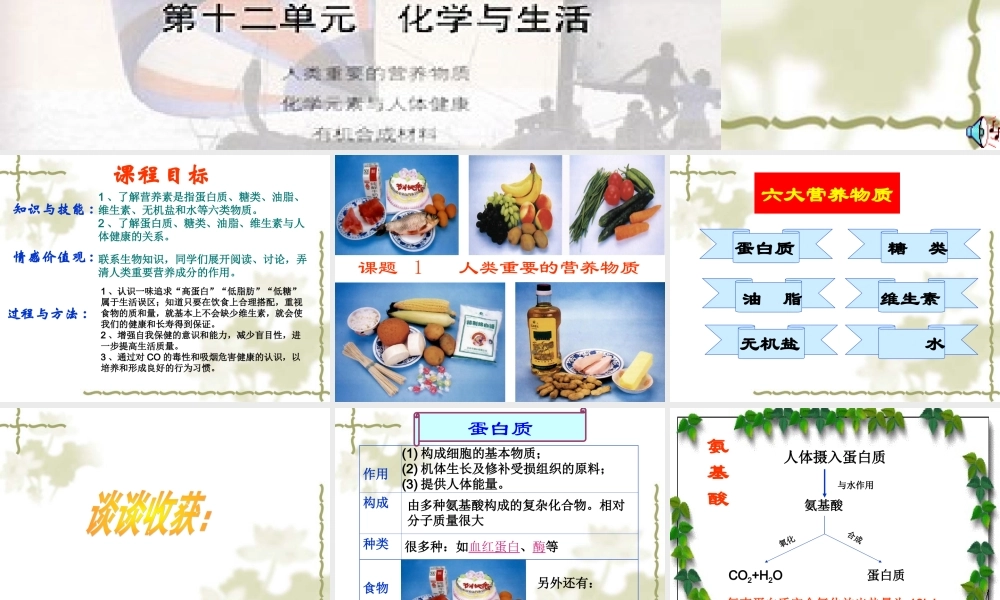 人类重要的营养物质