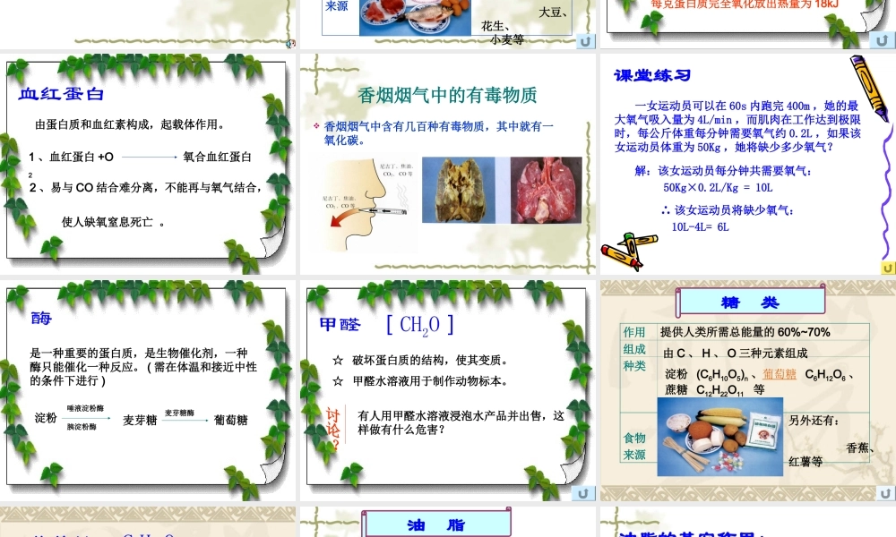 人类重要的营养物质