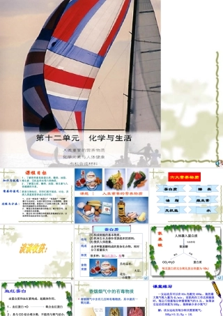 人类重要的营养物质