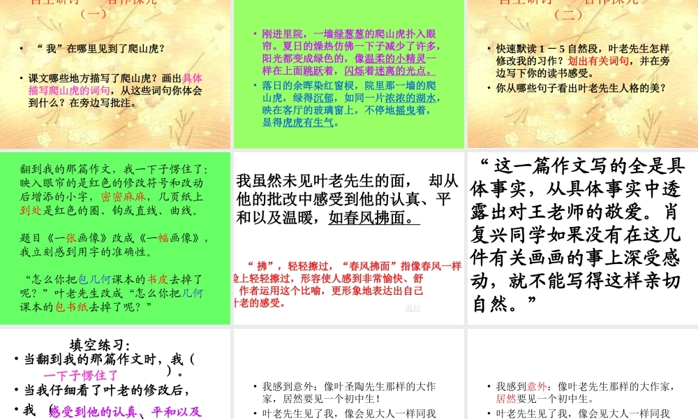 26《那片绿绿的爬山虎》