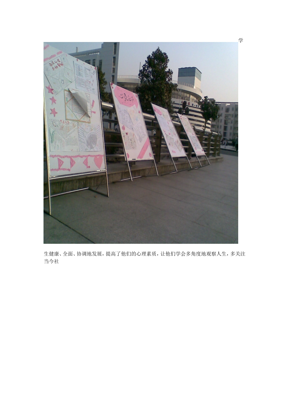 手抄报展示活动总结_第3页