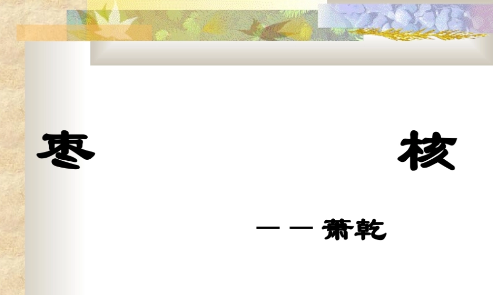 八年级语文枣核课件3苏教版 课件
