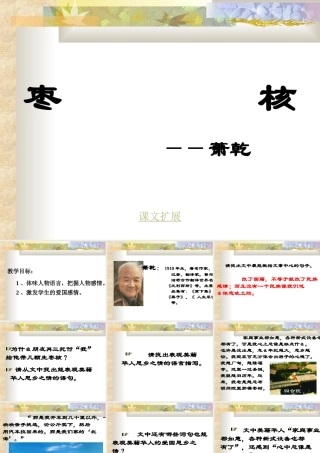 八年级语文枣核课件3苏教版 课件