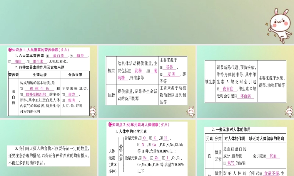 中考化学准点备考复习 第一部分 教材系统复习 第12讲 化学与生活课件 新人教版 课件