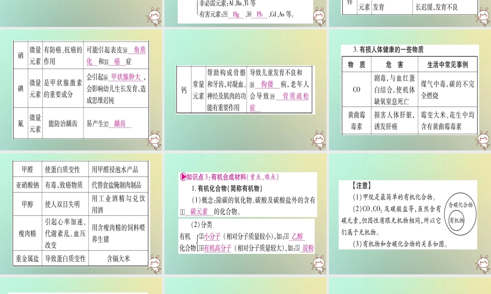 中考化学准点备考复习 第一部分 教材系统复习 第12讲 化学与生活课件 新人教版 课件