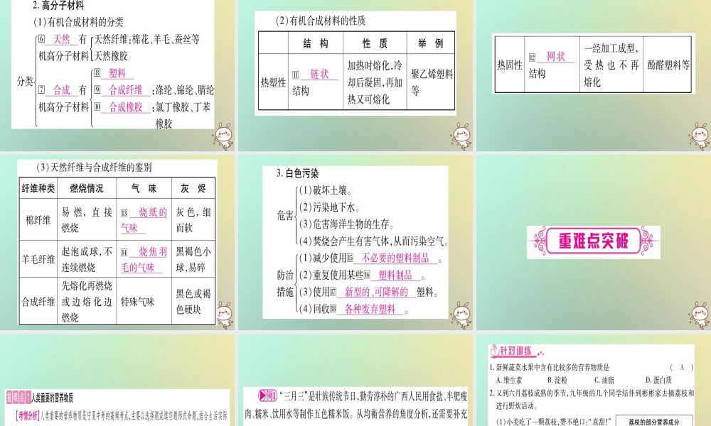 中考化学准点备考复习 第一部分 教材系统复习 第12讲 化学与生活课件 新人教版 课件