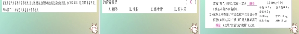 中考化学准点备考复习 第一部分 教材系统复习 第12讲 化学与生活课件 新人教版 课件