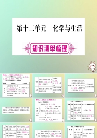 中考化学准点备考复习 第一部分 教材系统复习 第12讲 化学与生活课件 新人教版 课件