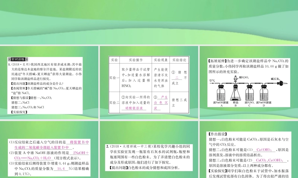 中考化学总复习 题型复习(四)实验与探究题课件