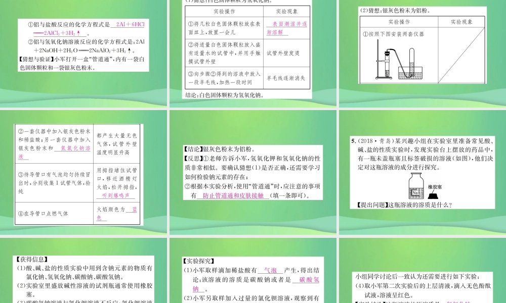 中考化学总复习 题型复习(四)实验与探究题课件