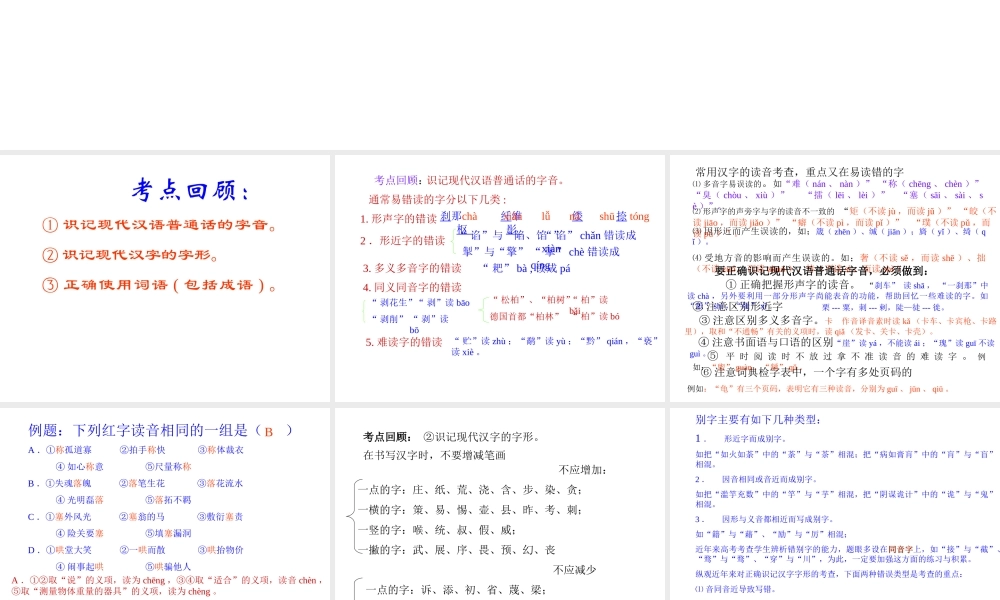 届高考语文第一轮知识点专题复习(高考语文过关复习)课件